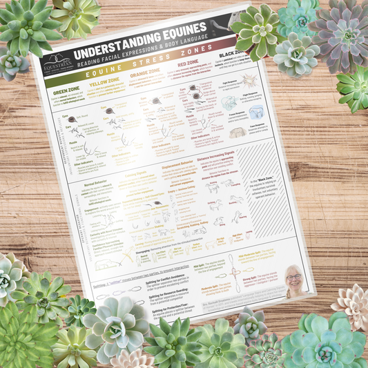 Understanding Equines - Single Poster