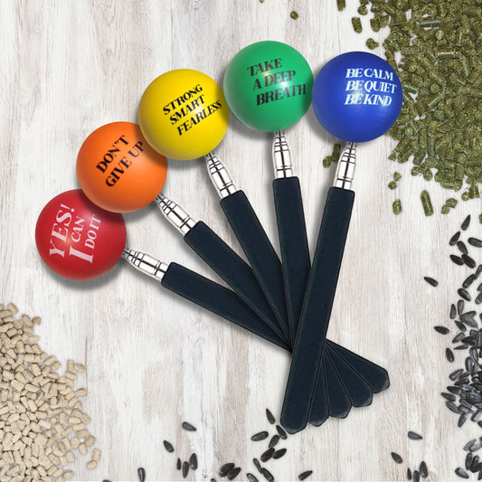 Inspirational Mini - SKE Telescoping Target Stick