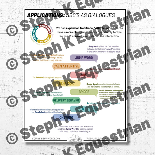 PDF - Dialogues During R+ Handout