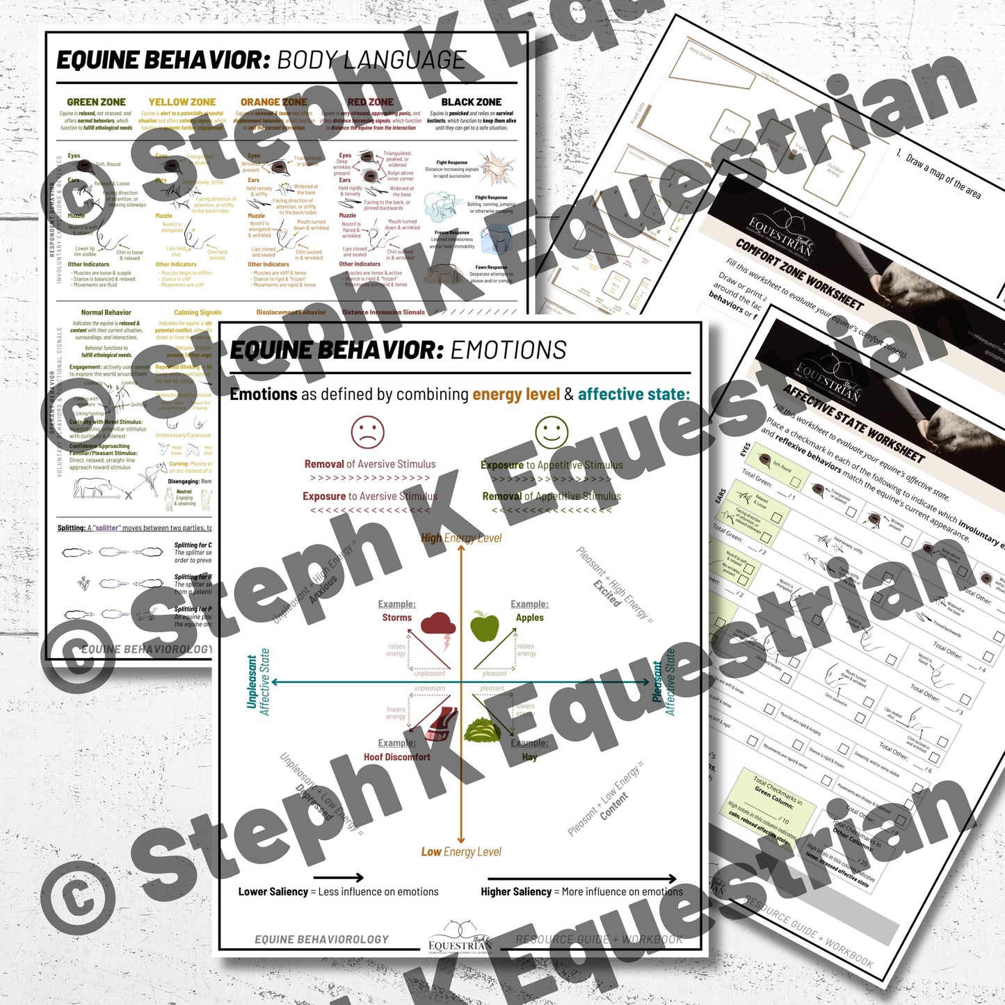 PDF - Understanding Equines, Body Language & Emotions