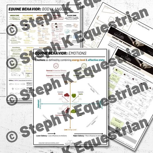 PDF - Understanding Equines, Body Language & Emotions