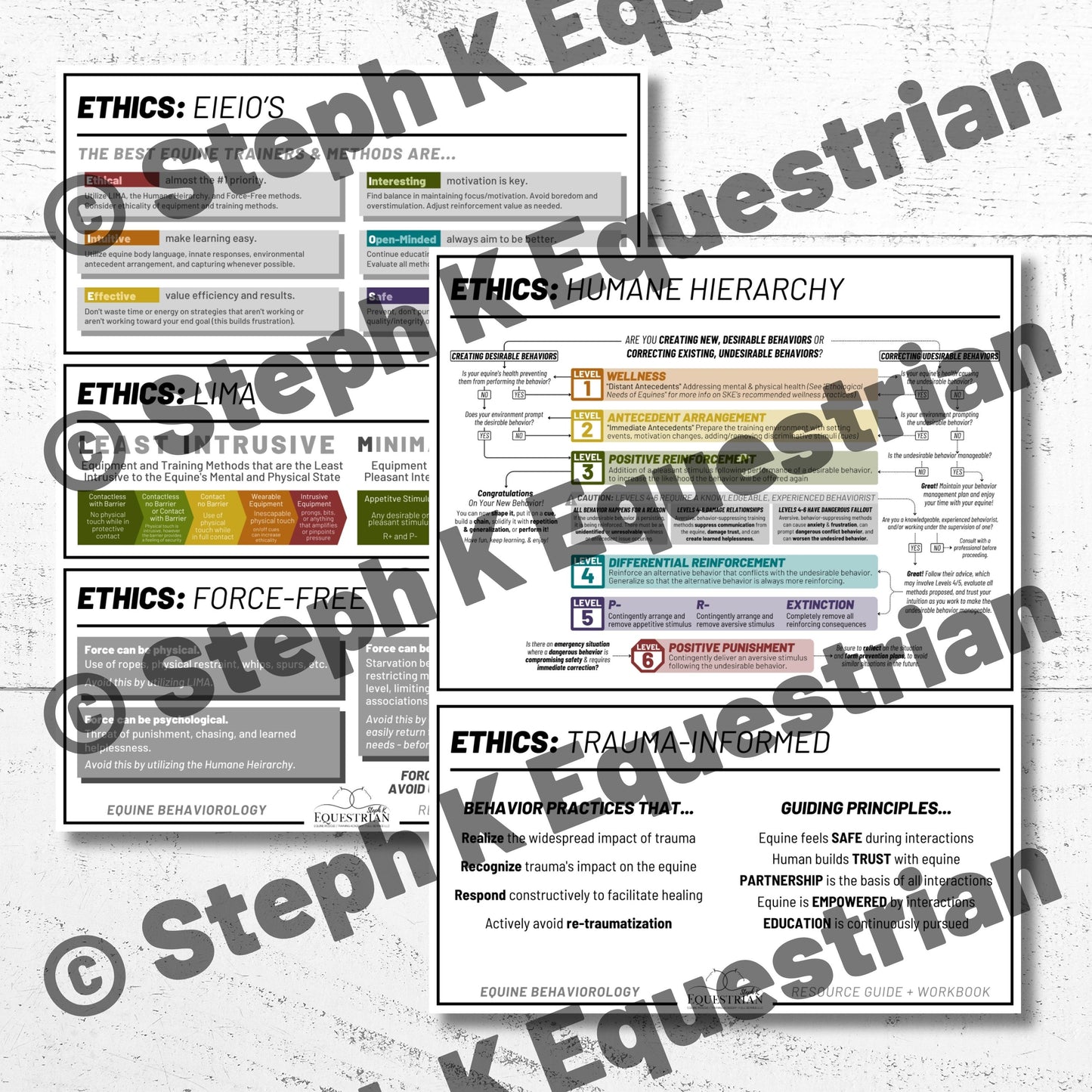 PDF - Ethical Behavior Work Handouts