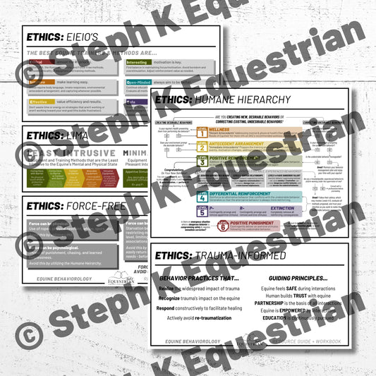 PDF - Ethical Behavior Work Handouts