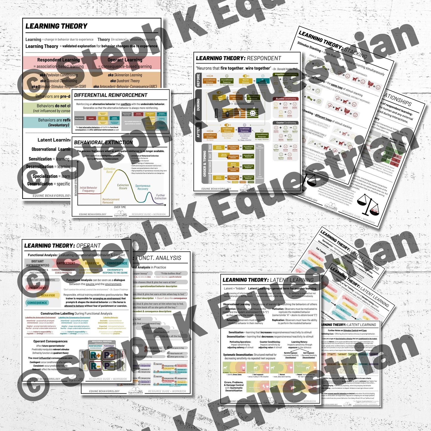 PDF - Learning Theory Handouts Package