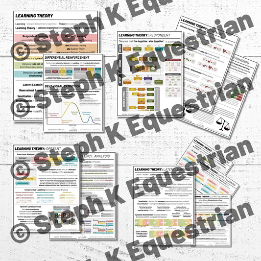 PDF - Learning Theory Handouts Package