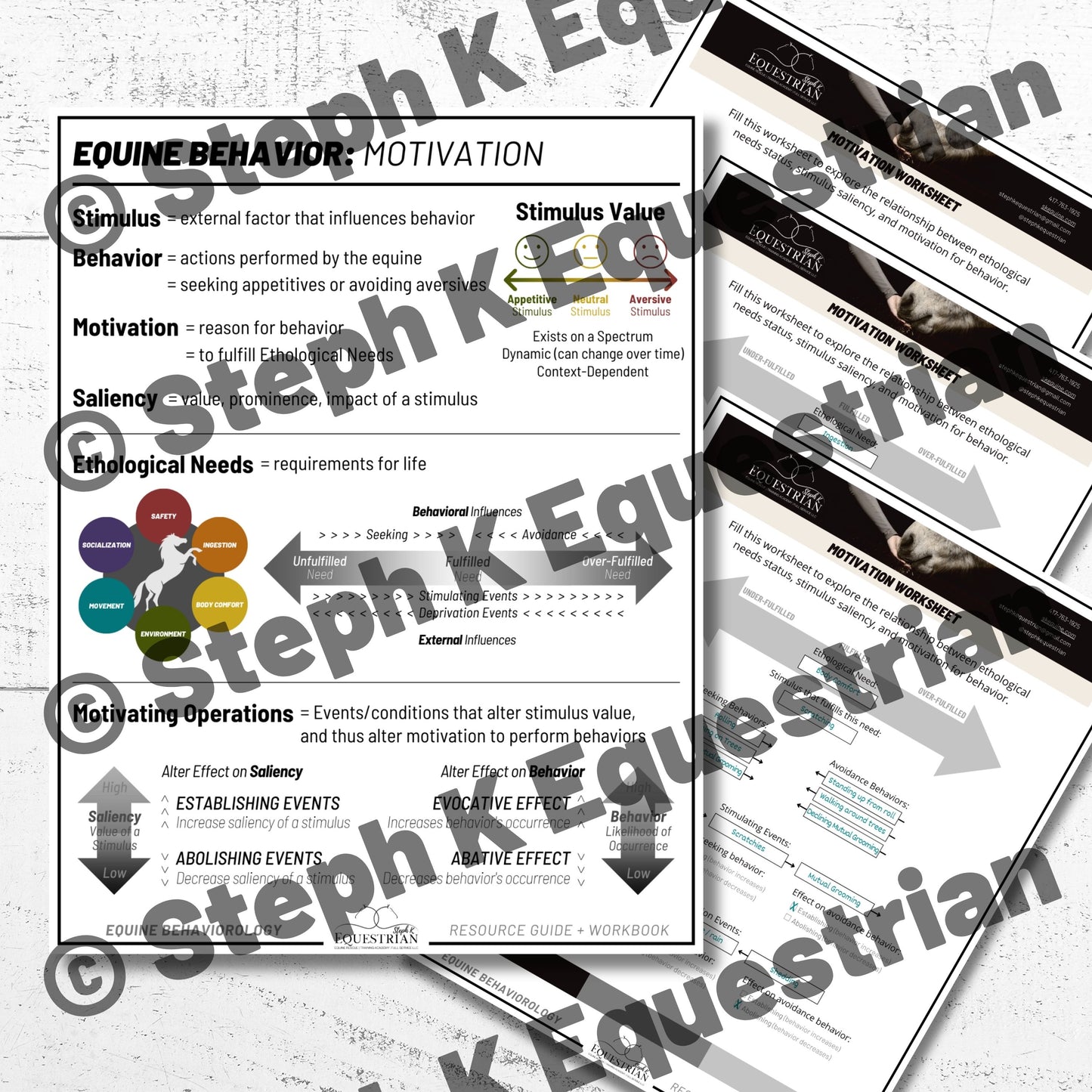 PDF - Motivation Handout & Worksheet