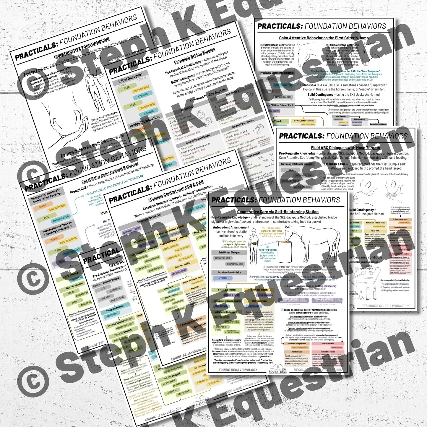PDF - Practical Foundation Behaviors Handouts