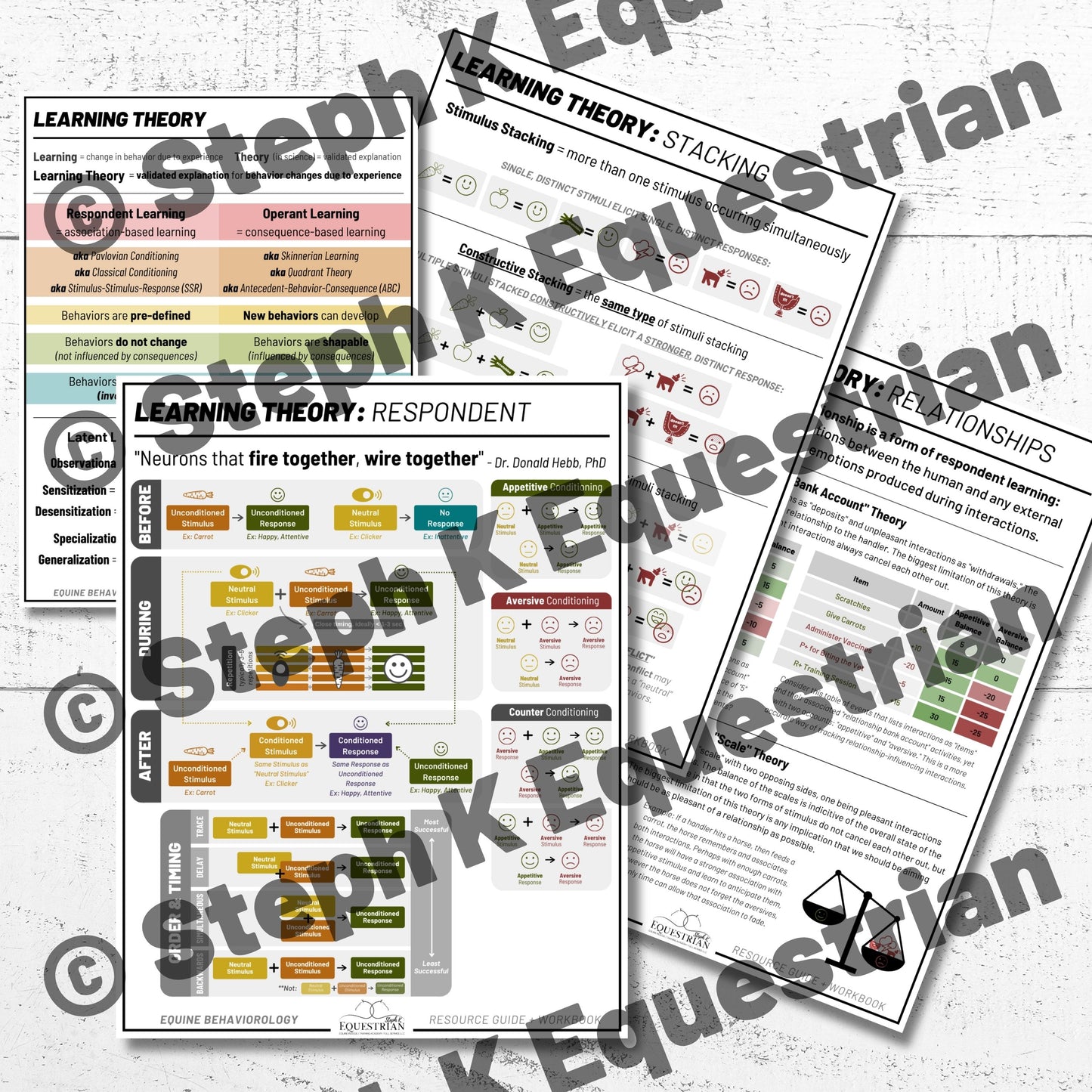PDF - Respondent Learning Theory Handouts
