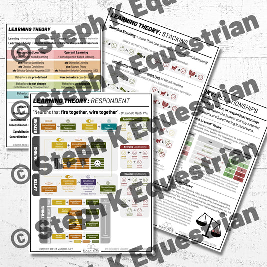 PDF - Respondent Learning Theory Handouts