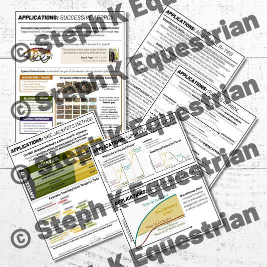 PDF - Shaping Handouts