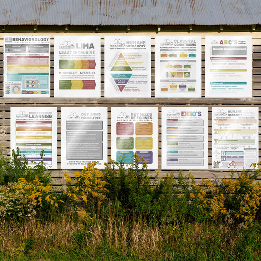 SKE Educational Posters