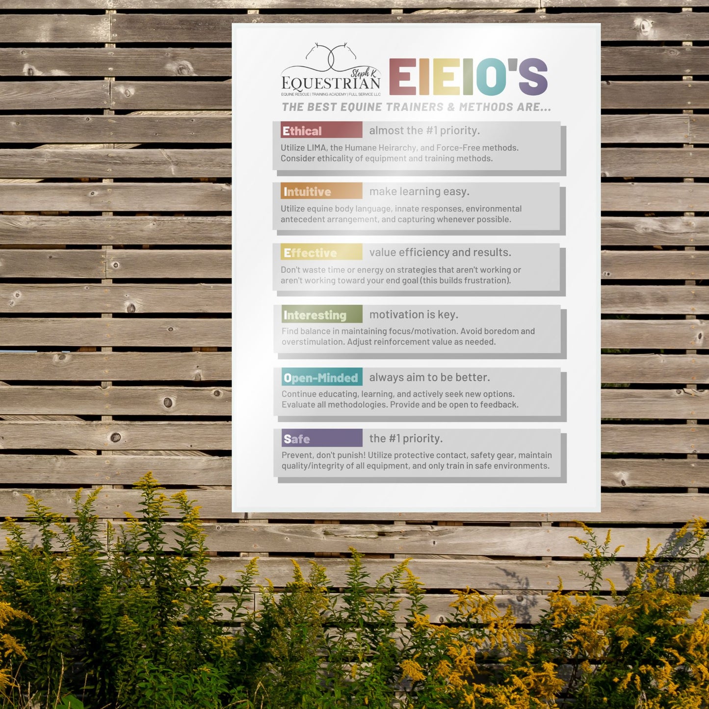 SKE Educational Posters