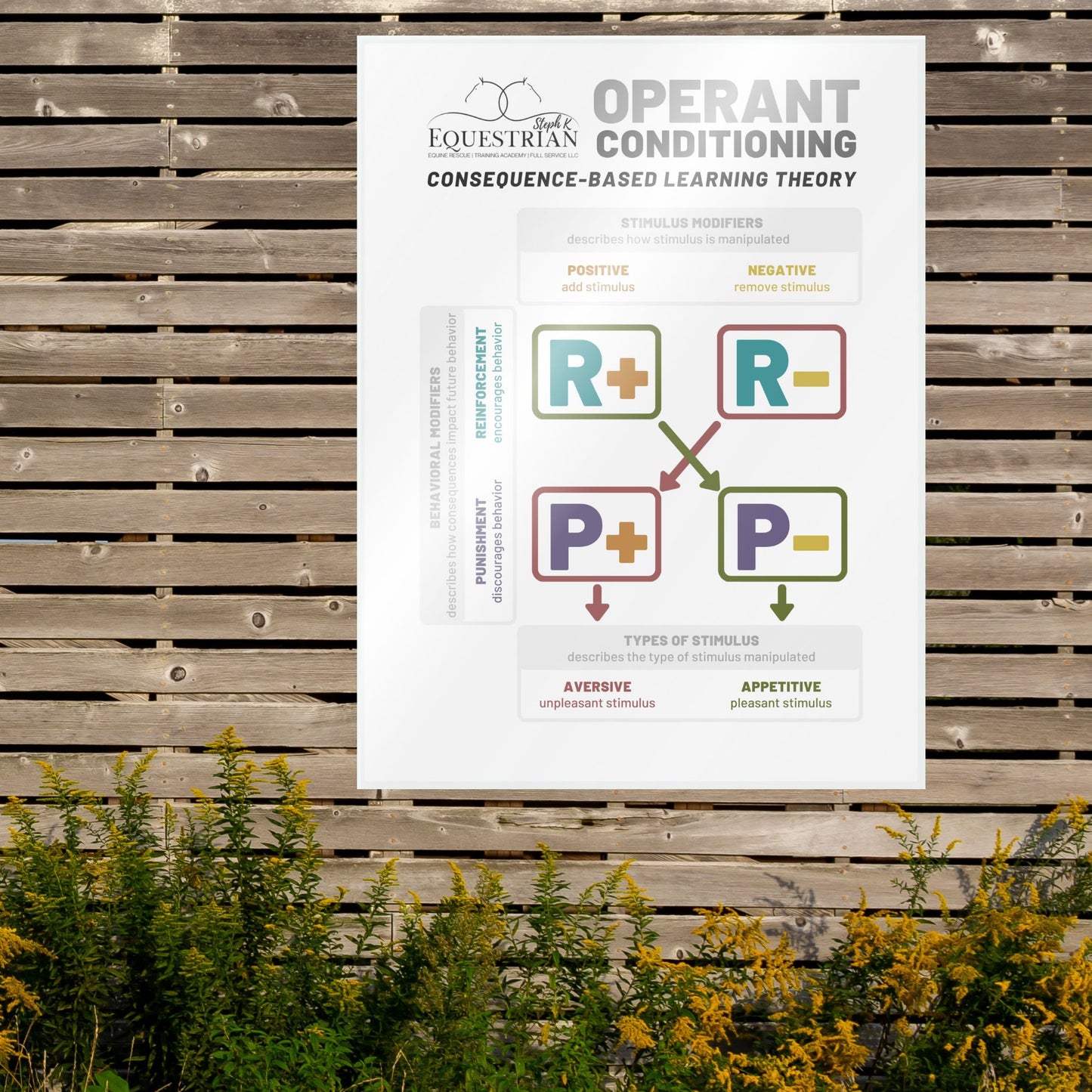 SKE Educational Posters