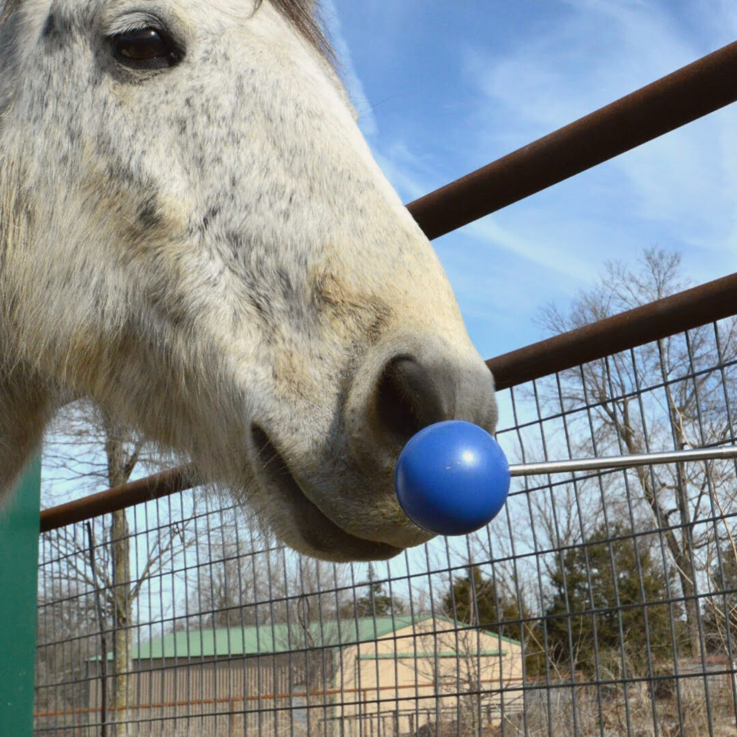 Design Your Own - SKE Telescoping Target Stick