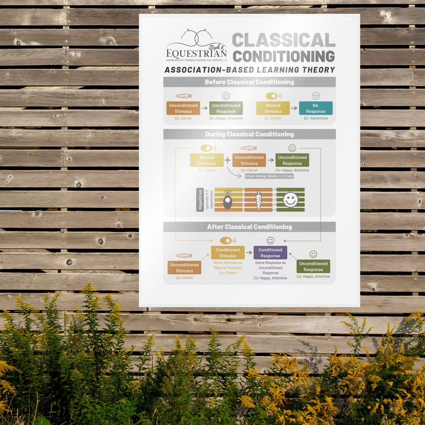 SKE Educational Posters
