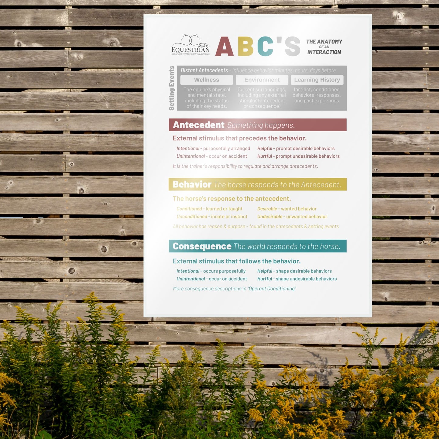 SKE Educational Posters