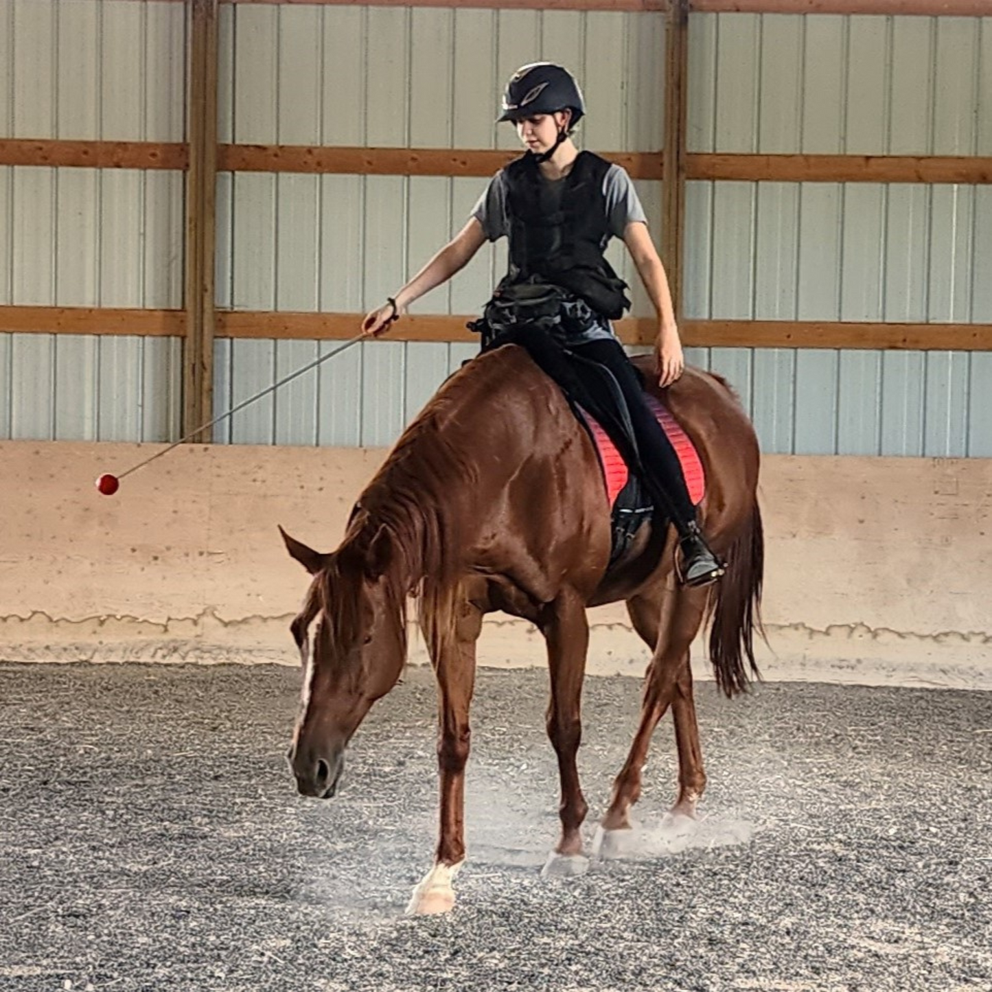 Design Your Own - SKE Telescoping Target Stick