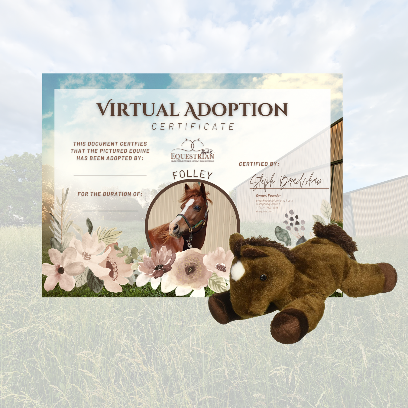 Sponsor a Rescue Equine (Virtual "Adoption")