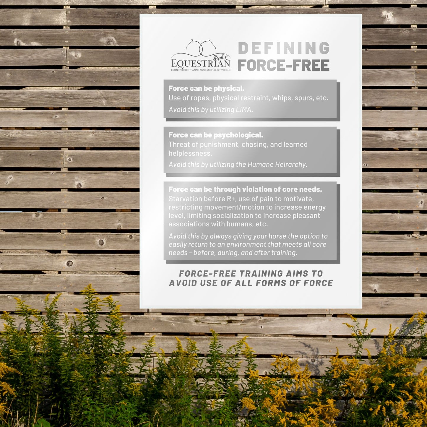 SKE Educational Posters