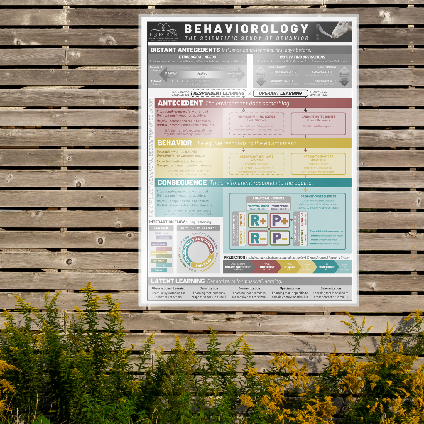 Behaviorology - Single Poster