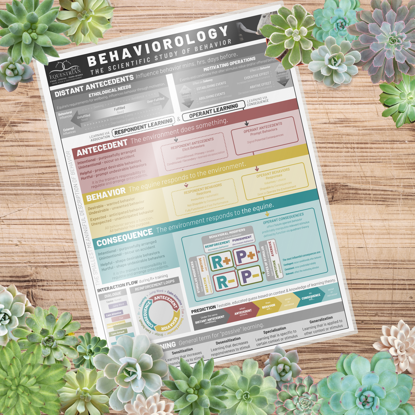 Behaviorology - Single Poster