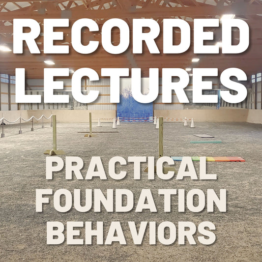 Equine Behaviorology Lesson 10: Practical Foundations, Recorded Lecture