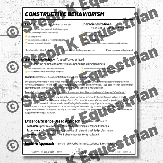 PDF - Constructive Behaviorism Handout