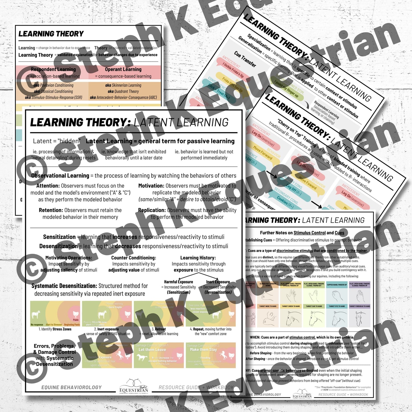 PDF - Latent Learning Theory Handouts