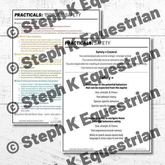 PDF - Equestrian Safety Handouts