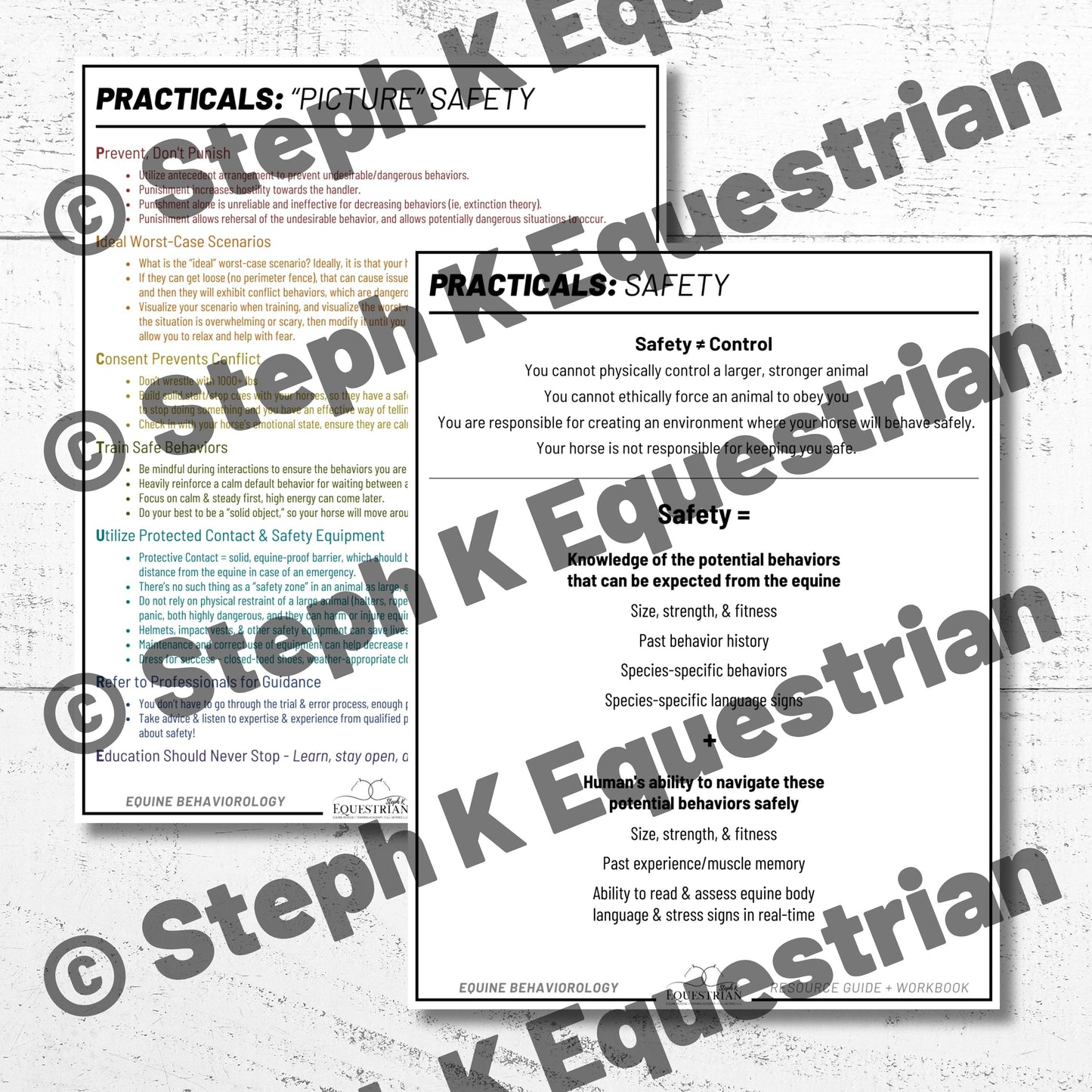 PDF - Equestrian Safety Handouts