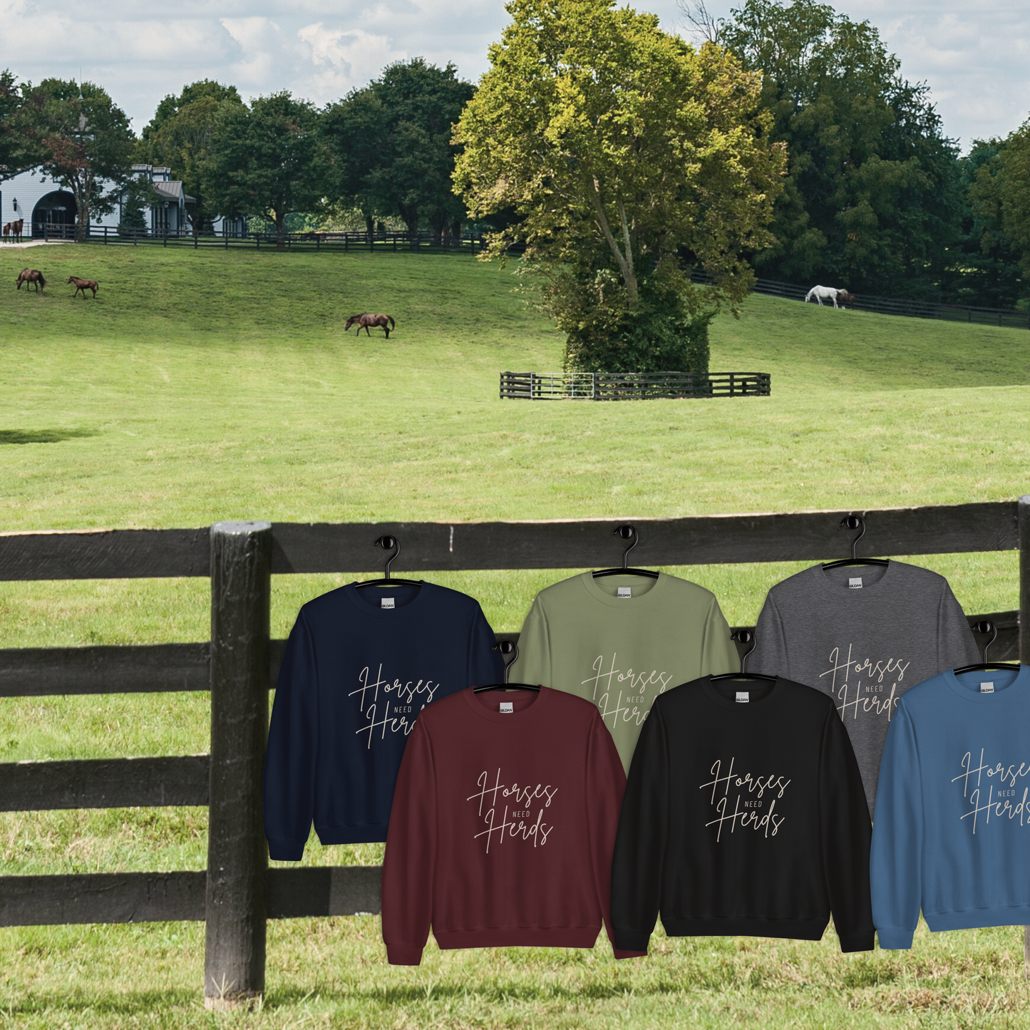 Horses Need Herds Sweatshirt