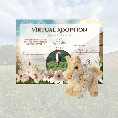 Sponsor a Rescue Equine (Virtual "Adoption")