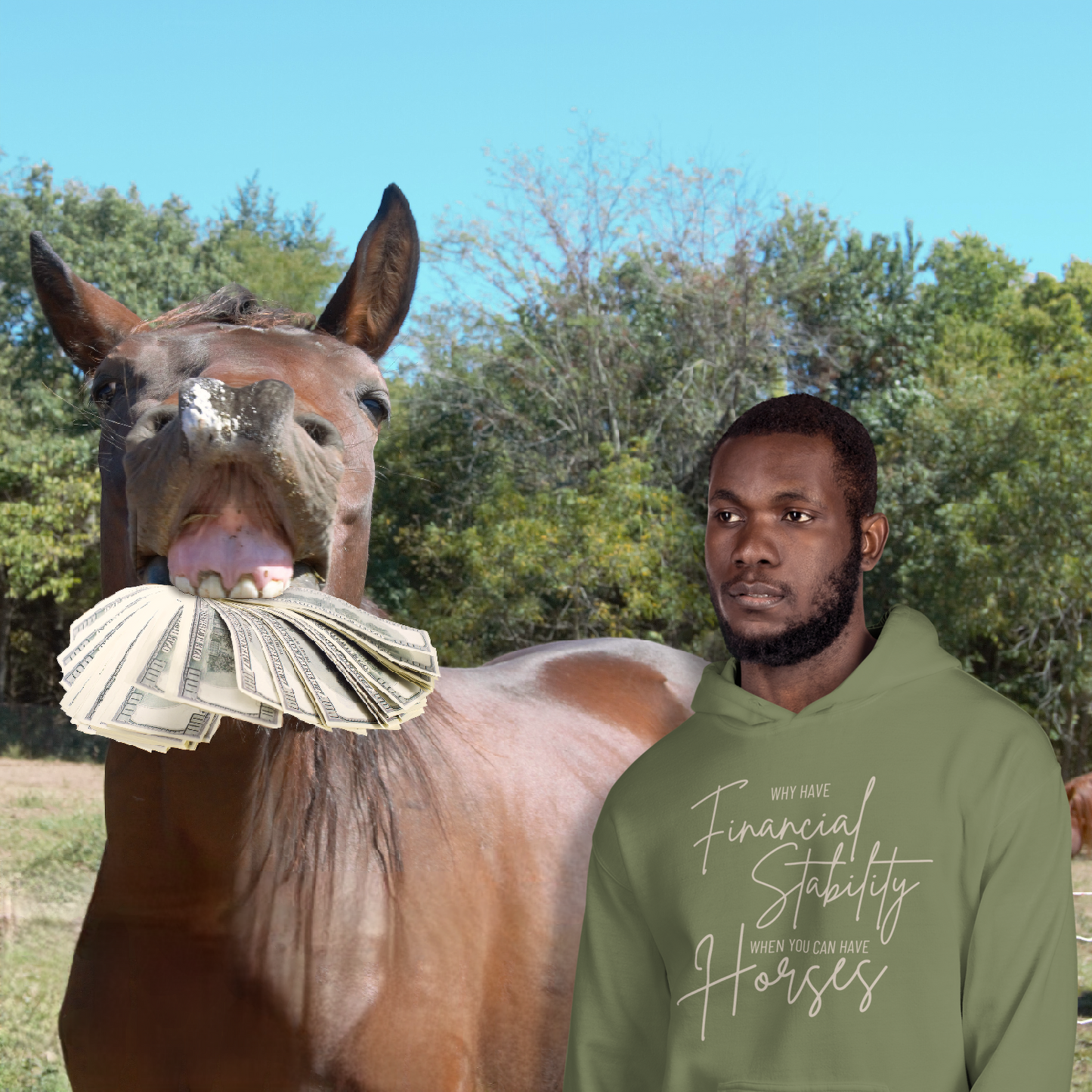 Financially "Stable" Equestrian Hoodie