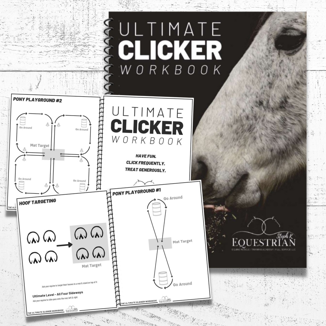 Ultimate Clicker Workbook