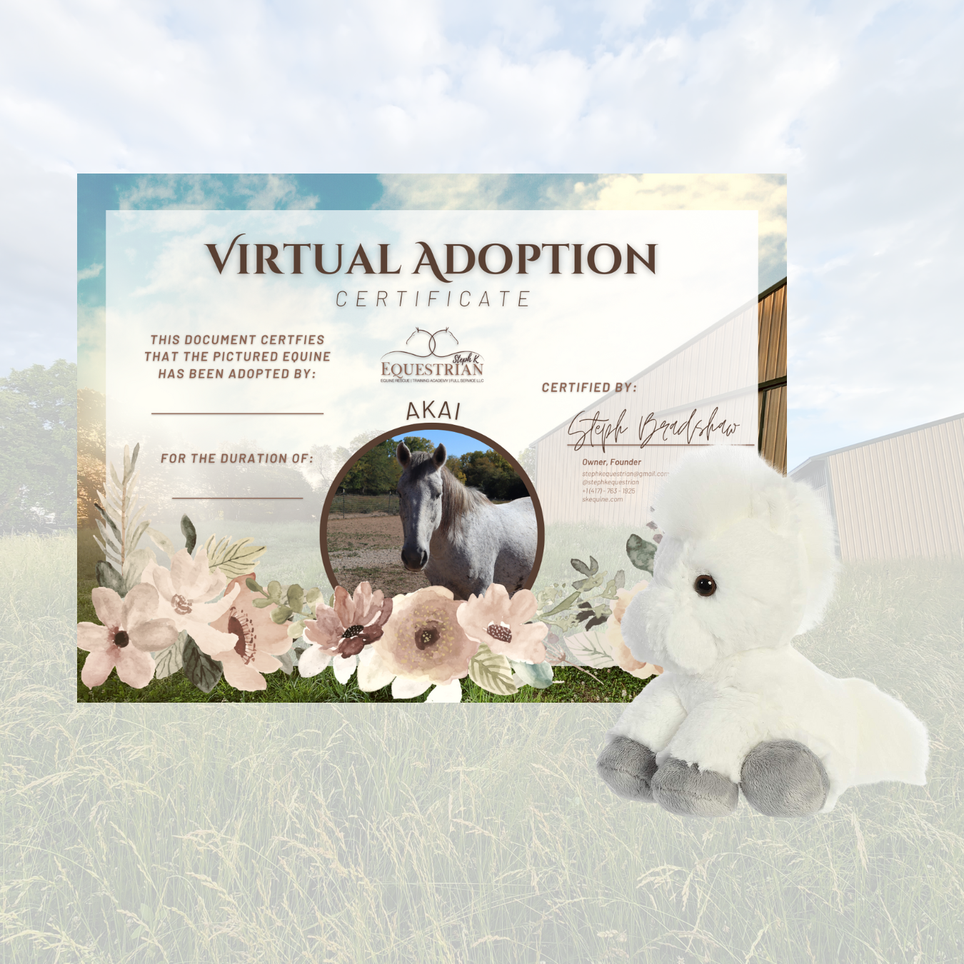 Sponsor a Rescue Equine (Virtual "Adoption")