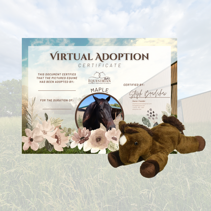 Sponsor a Rescue Equine (Virtual "Adoption")