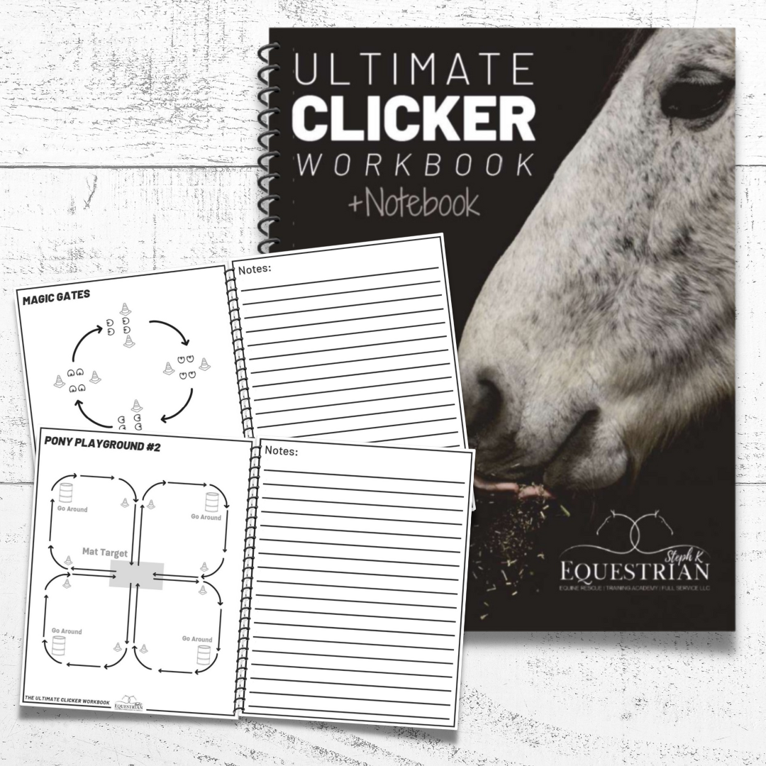 Ultimate Clicker Workbook + Notebook