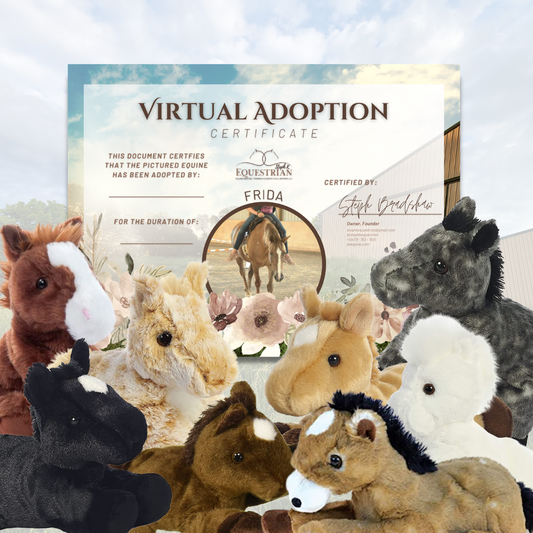 Sponsor a Rescue Equine (Virtual "Adoption")